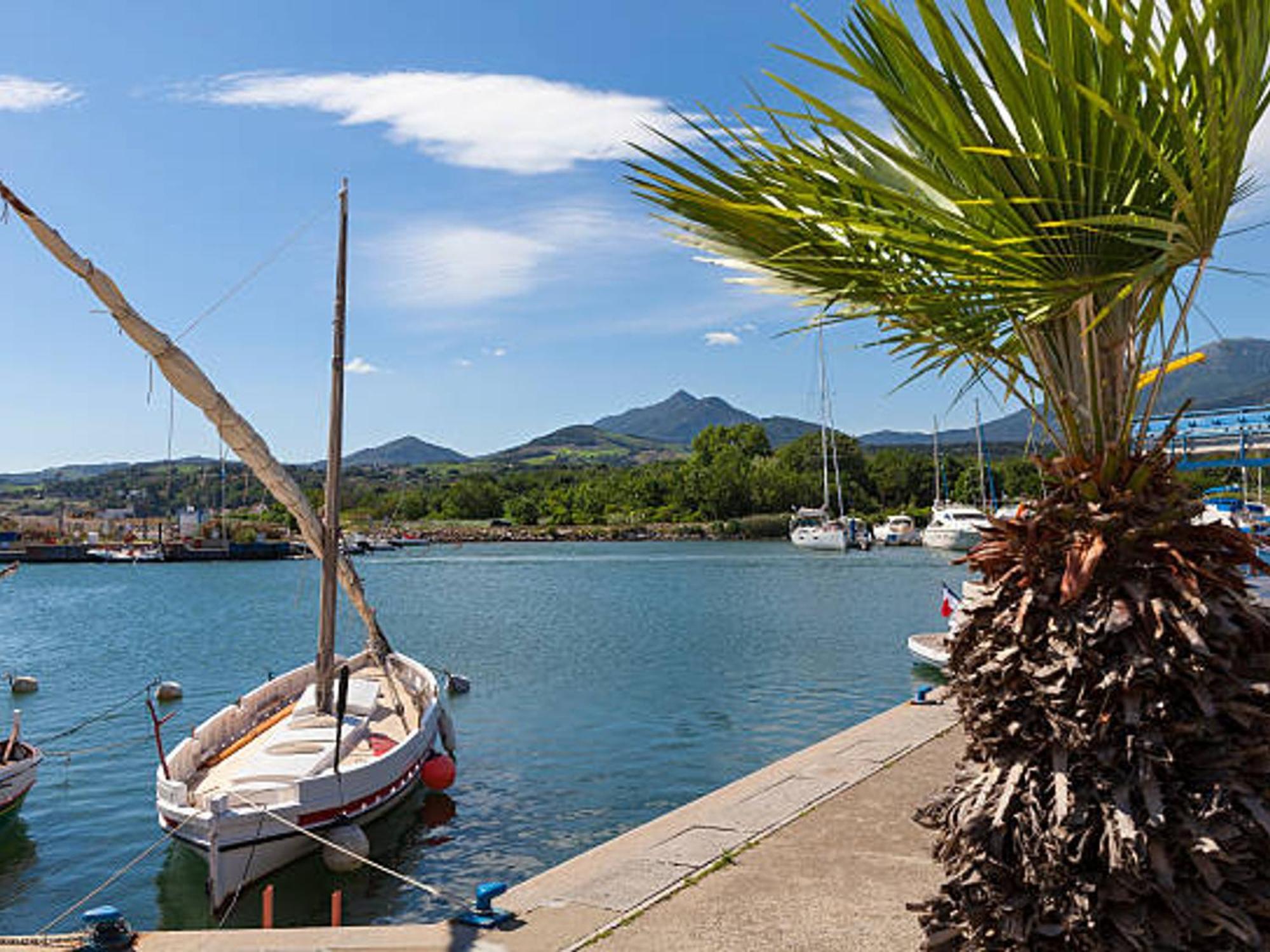 Appartement 4 Couchages A Argeles Plage, Proche Mer Et Commodites - Fr-1-732-62 Eksteriør billede